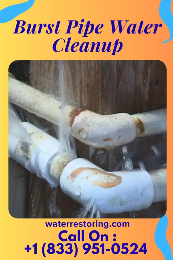 Burst Pipe Water Cleanup in Canaseraga, NY