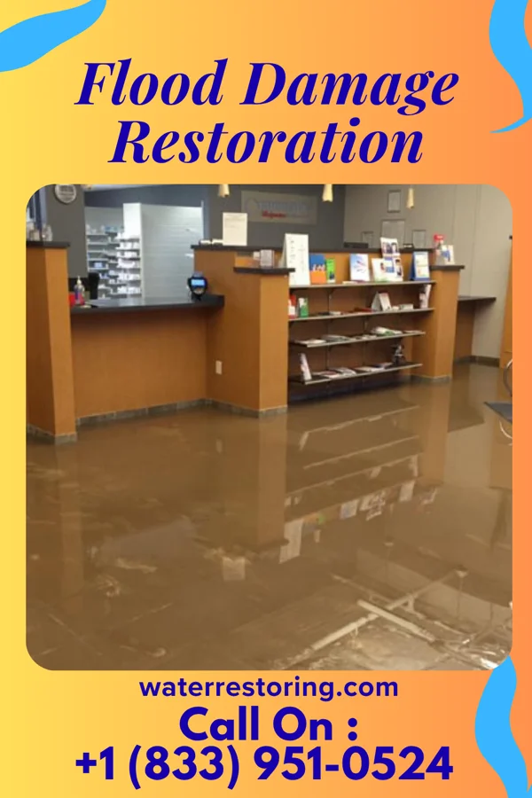 Flood Damage Restoration in Canaseraga, NY