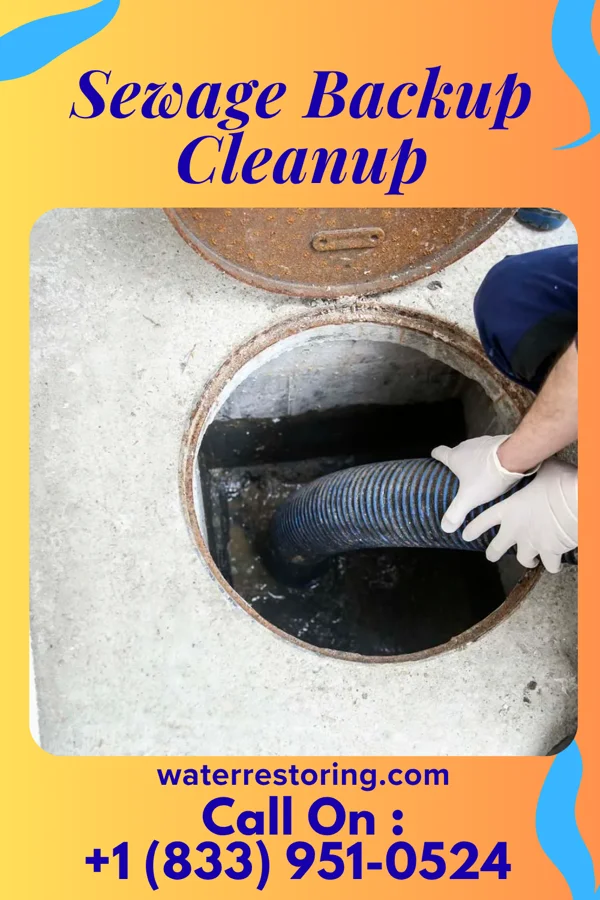 Sewage Backup Cleanup in Canaseraga, NY