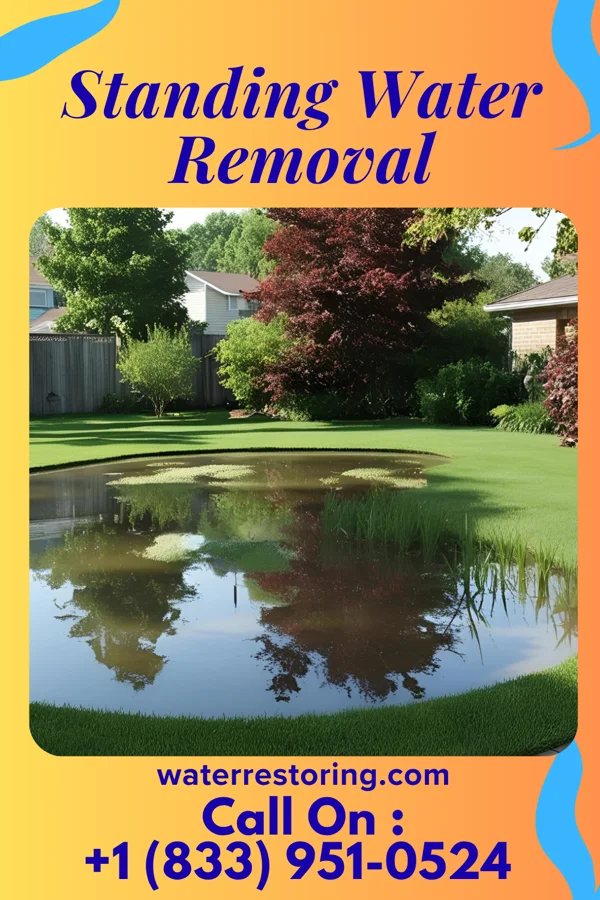 Standing Water Removal in Canaseraga, NY
